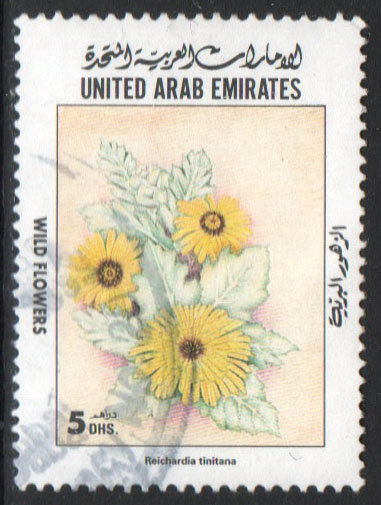 United Arab Emirates Scott 632 Used - Click Image to Close